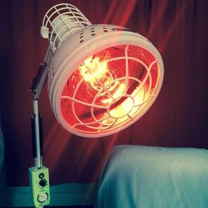 Picture of heat lamp